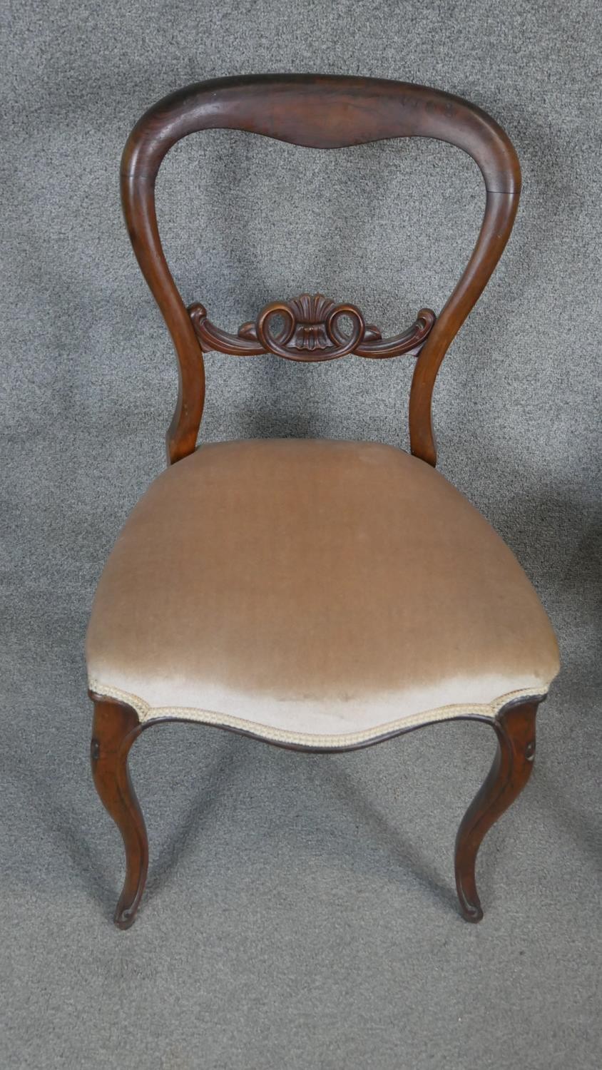 A 19th century mahogany balloon back dining chair along with a similar example. - Image 2 of 4