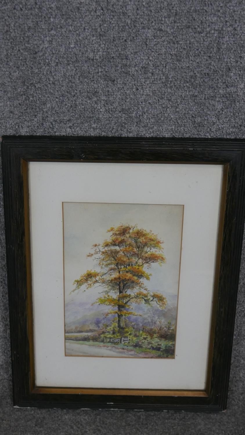 Two framed and glazed watercolor landcapes. One of a woodland river signed A. Potts the other of a - Image 3 of 11