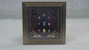 A framed and glazed contemporary print of beetles among gilded flower stems. H. 50 W.50