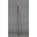 A vintage deer antler handled walking sticks with leather strap. H. 130