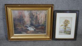 Two framed and glazed watercolor landcapes. One of a woodland river signed A. Potts the other of a