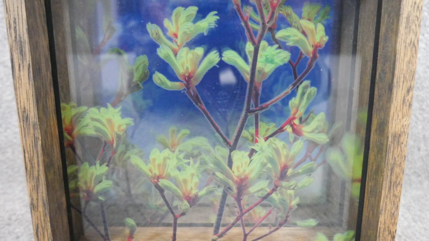 Perran Costi- Skybox, Kangaroo Paws, light box with glass/digital print/wood. Tiled and dated - Image 3 of 3