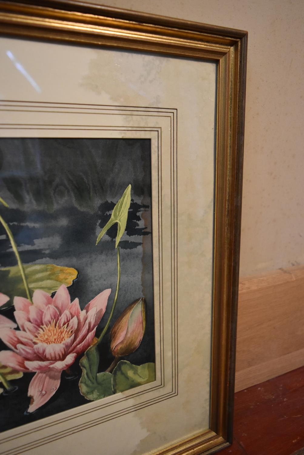 Robin Gibbard - A gilt framed watercolour, 'Lily Pond' Signed and labelled to verso. H.48 W.73cm ( - Image 4 of 7