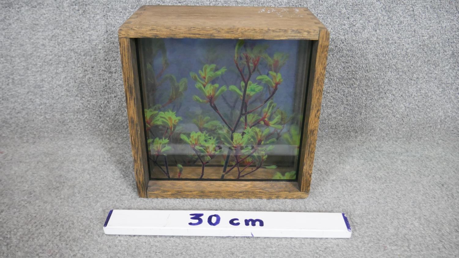 Perran Costi- Skybox, Kangaroo Paws, light box with glass/digital print/wood. Tiled and dated - Image 2 of 3