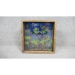 Perran Costi- Skybox, Kangaroo Paws, light box with glass/digital print/wood. Tiled and dated