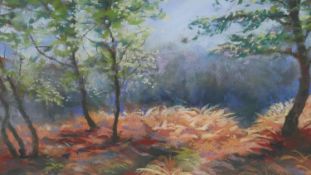 A framed and glazed pastel on paper of a woodland landscape. Indistinctly signed. H.51 W.63cm