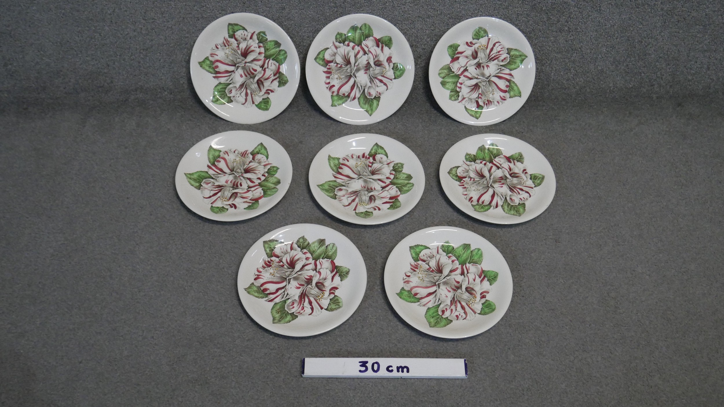 A set of eight hand painted Camelia engraving plates by Johnson Brothers. Makers mark to the back. - Image 2 of 4