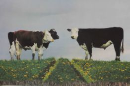 A framed and glazed signed print of cows Signed Larry Learmonth, dated 77. H.52 W.59 cm