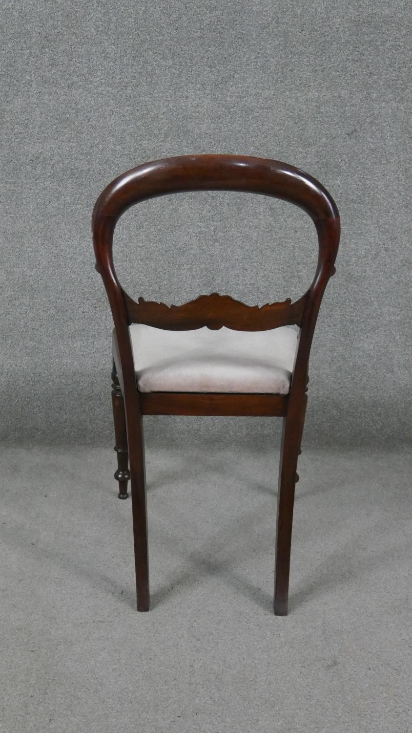 A set of six Victorian acanthus carved mahogany shaped back dining chairs on turned tapering - Image 3 of 7