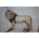 Alexandra Churchill- A gilt spotted design framed oil on canvas of a lion. Signed A. Churchill. H.49
