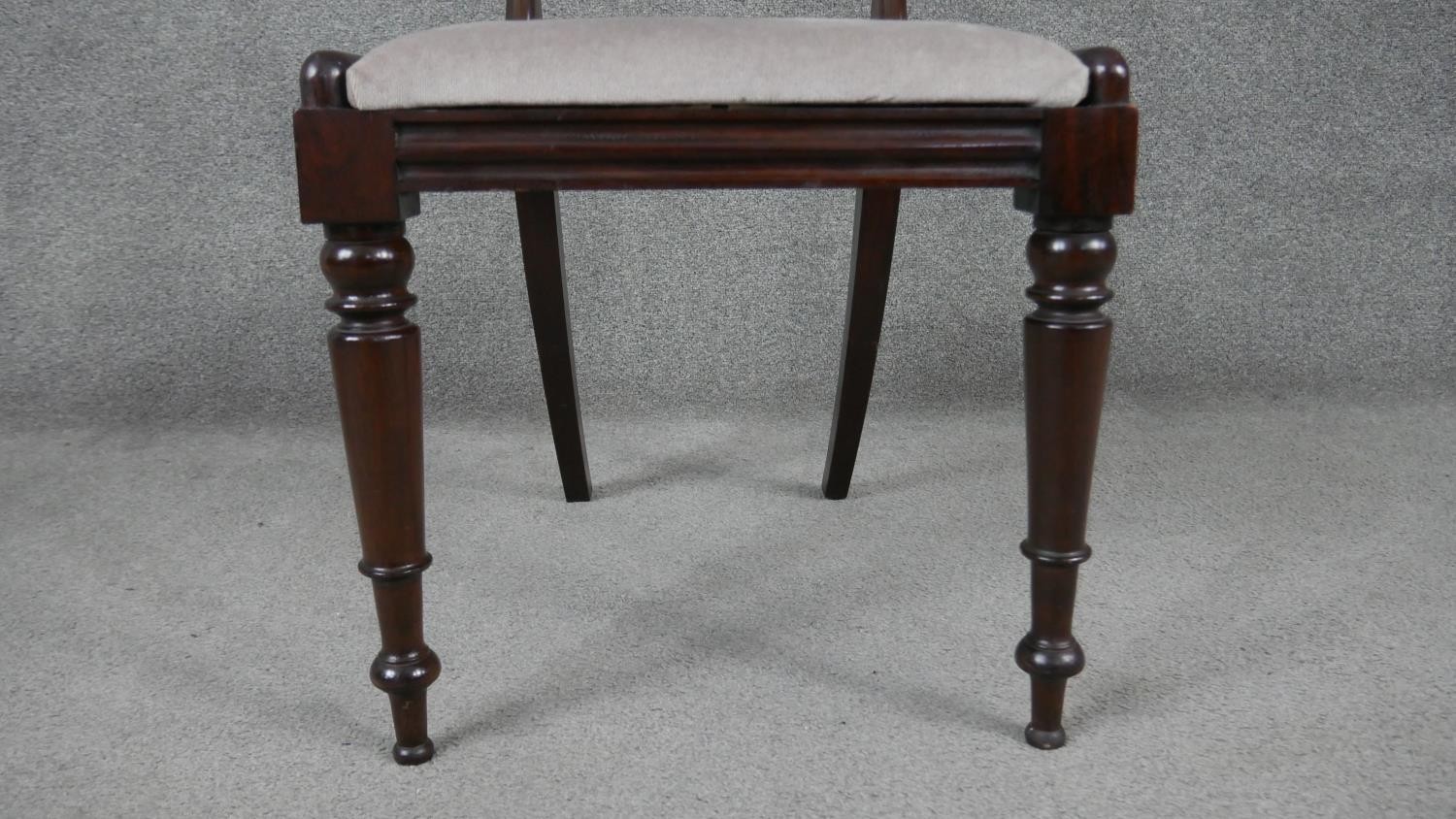A set of six Victorian acanthus carved mahogany shaped back dining chairs on turned tapering - Image 7 of 7