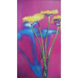 A framed coloured abstract print of dandelion flowers. H.57 W.47cm