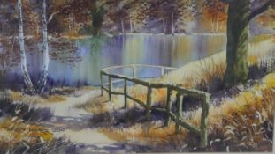 Terry Harrison- A framed and glazed watercolour Autumn river scene. Signed by artist. H.52 W.70cm