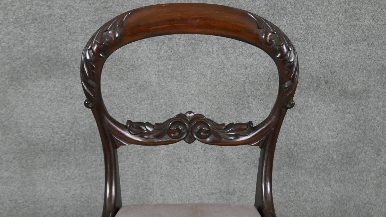 A set of six Victorian acanthus carved mahogany shaped back dining chairs on turned tapering - Image 5 of 7