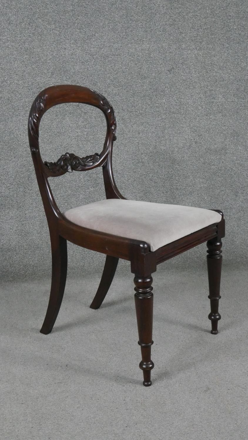 A set of six Victorian acanthus carved mahogany shaped back dining chairs on turned tapering - Image 2 of 7
