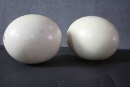 Two blown ostrich eggs. H.18 W.15 cm.