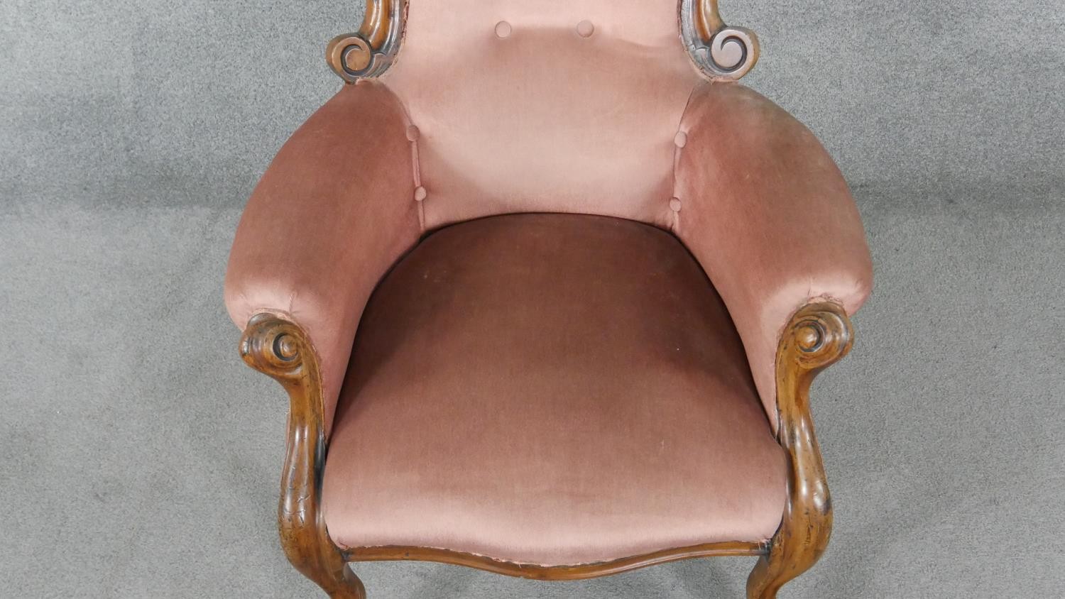 A 19th century walnut framed armchair in buttoned velour upholstery on cabriole supports. - Image 5 of 5