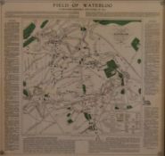 A framed and glazed print, map of 'Field of Waterloo'. H.47 W.50cm
