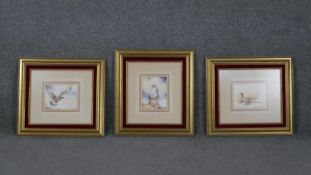 Christopher Hughes- Three gilt framed and glazed watercolours of birds. One of a pair of