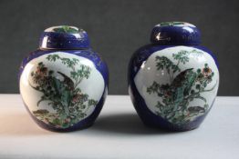 A pair of 19th century Chinese hand painted porcelain lidded ginger jars. Decorated with birds and