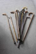 A collection of eleven walking sticks. One with a white metal engraved collar and one with a horn