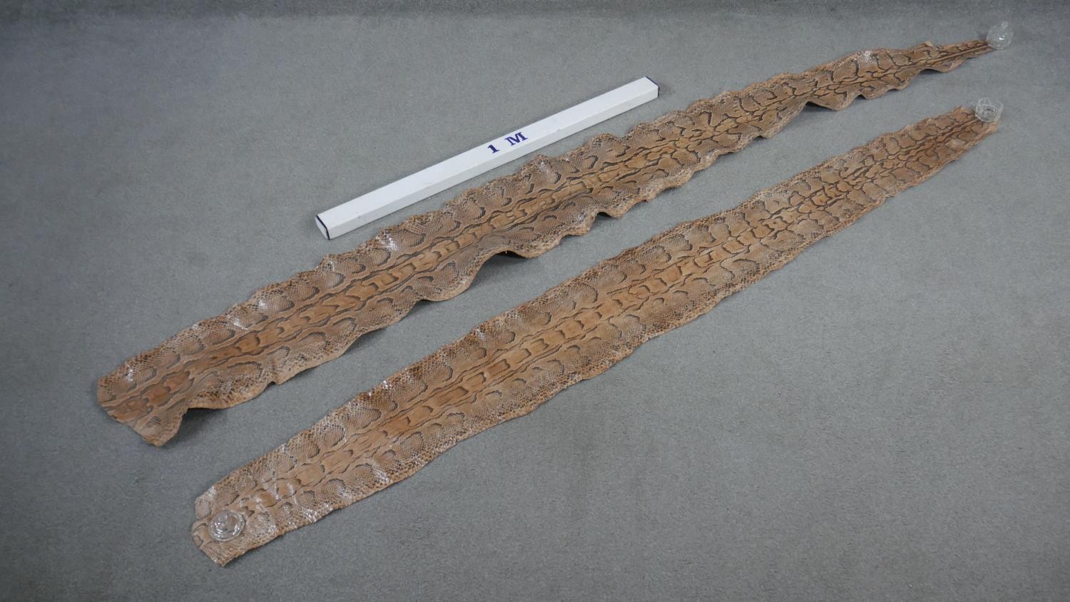 Two large unmounted Python skins. L.261 W.78cm - Image 2 of 4