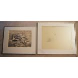 A framed and glazed limited edition etching, conch shells, indistinctly signed along with a framed