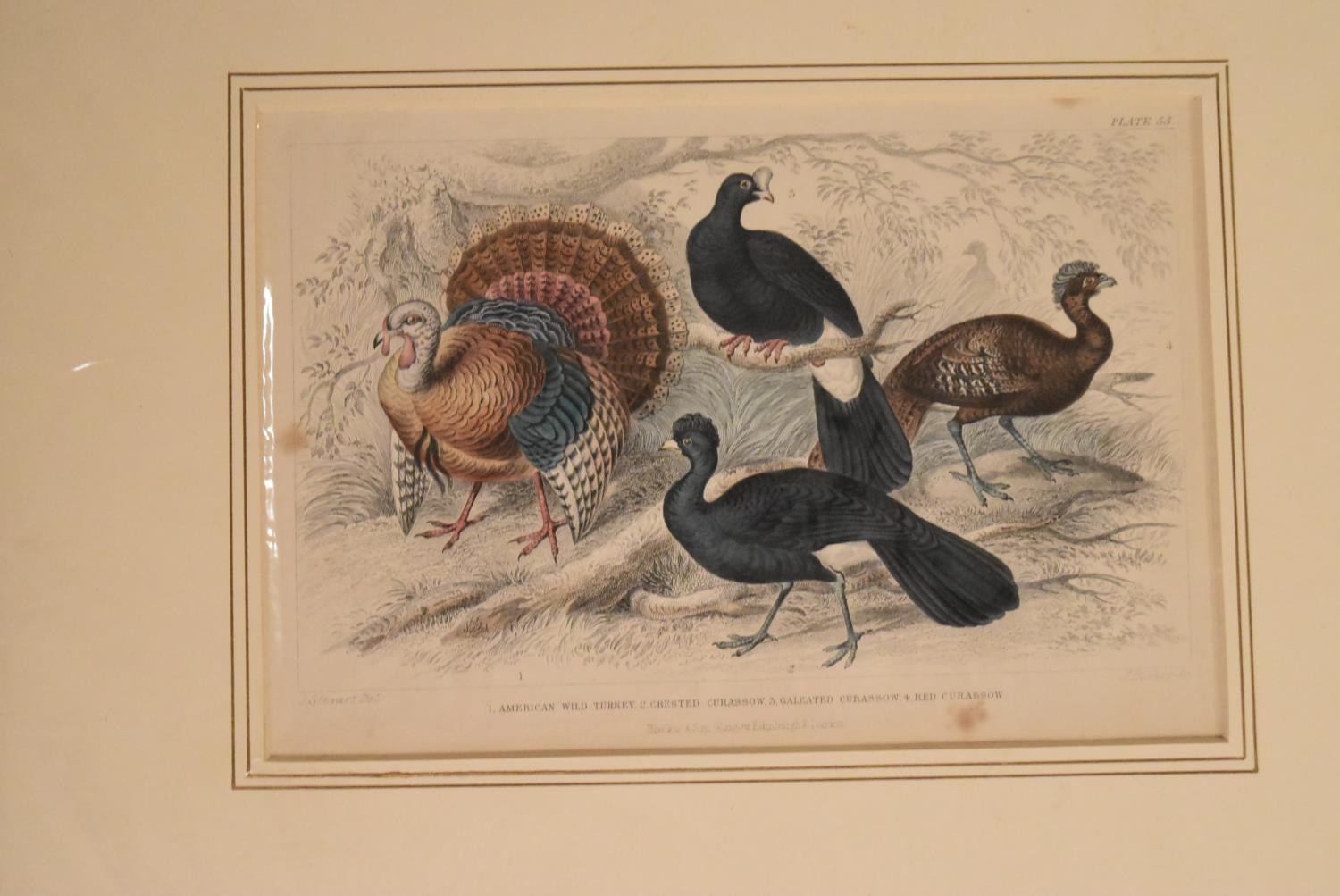 A collection of nine antique hand coloured engravings of military scenes, unframed. H.35 W.45cm (9) - Image 16 of 22