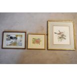 A framed and glazed watercolour of finches, a wild flower study and a naive school acrylic on