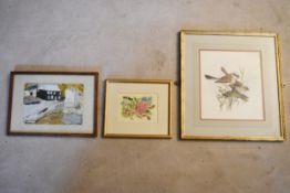 A framed and glazed watercolour of finches, a wild flower study and a naive school acrylic on
