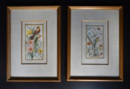 A pair of framed and glazed paintings, exotic birds and flowers. H.28cm W.21cm