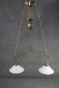 A French brass rise and fall ceiling light with original opaque white glass shades. H.100 w.70 CM