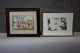 Two framed and glazed watercolors. One of a magnolia flower, signed Stark, the other of a