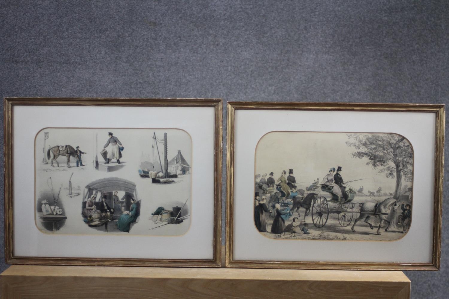 Ten framed and glazed 19th century hand coloured Dutch lithographs by R. De Vries. H.40 W.50 cm.
