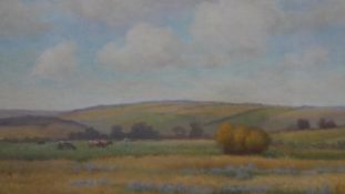 A framed oil on canvas, English school countryside landscape. unsigned. H.56 W.66cm