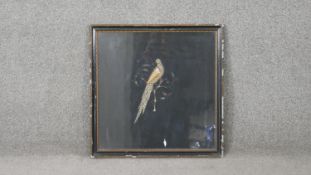 A framed and glazed 19th century stump work panel of a bird in a tree with gold thread detailing.