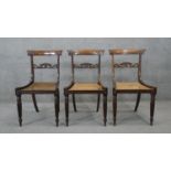 A set of three Regency rosewood bar back dining chairs with caned seats on reeded tapering supports.