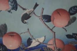 A framed and glazed 19th century Japanese woodblock print of birds in a persimmon tree, with artists