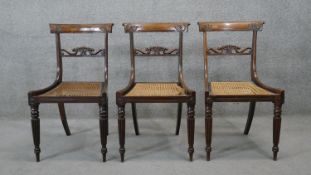 A set of three Regency rosewood bar back dining chairs with caned seats on reeded tapering supports.