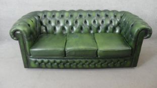 A three seater Chesterfield sofa in deep buttoned studded leather upholstery. H.70 W.186 D.96CM