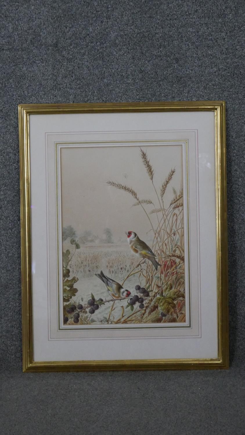 Harry Bright (1827 - 1922) - A framed and glazed gouache on paper of two Goldfinches in a wheat - Image 2 of 5