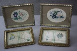 Two gilt framed and glazed Victorian floral watercolours along with two sets of framed and glazed
