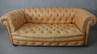 A Chesterfield sofa in studded and deep buttoned leather upholstery on bun feet. H.80 W.190 D.