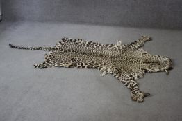 A taxidermy Leopard skin rug. L.200 W.140cm.