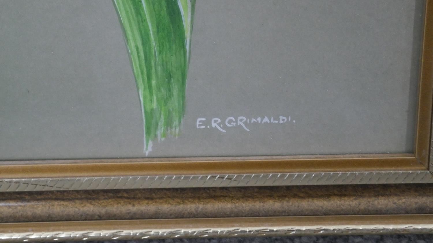 Two framed and glazed watercolours. One of a purple Iris, signed E.R. Grimaldi. The other of the - Image 5 of 10