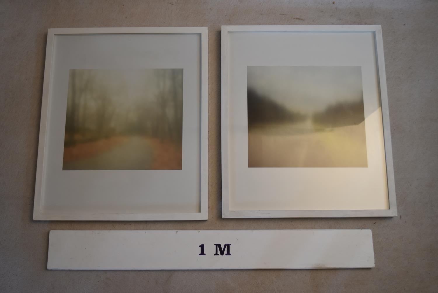 A pair of contemporary photographic prints in glazed box frames. H.64 W.55cm - Image 2 of 6