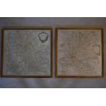 A pair of gilt framed and glazed maps of French wine regions. H.54 W.52cm