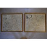 A pair of gilt framed and glazed maps of French wine regions. H.54 W.61cm