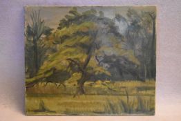 Druie Bowett (1924-1998), oil on canvas, signed, dated and inscribed to the reverse, "Trees" '56,