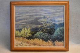 A framed oil on board, French landscape, "La Coste" exhibition label to the reverse, signed T N A